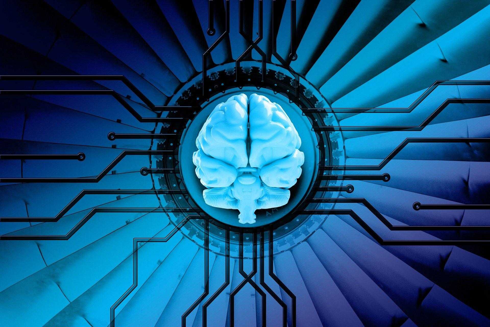 5 applicazioni delle reti neurali che già utilizziamo (senza saperlo)