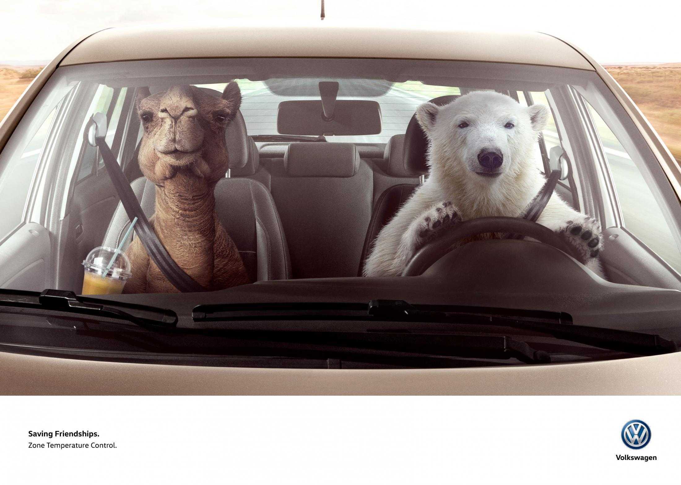 vw_aviso_graficasanimales_2400_2