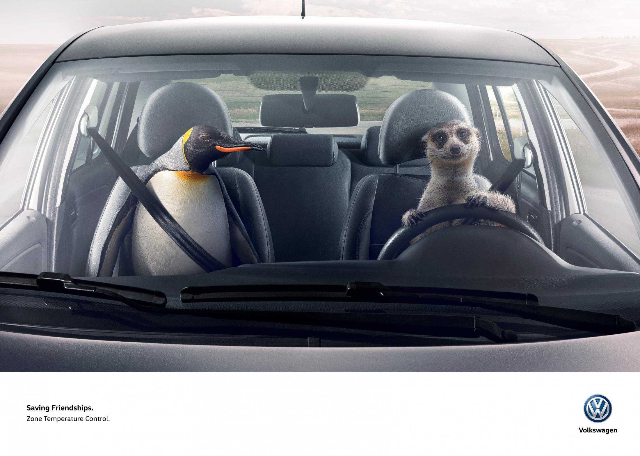 vw_aviso_graficasanimales_2400_3