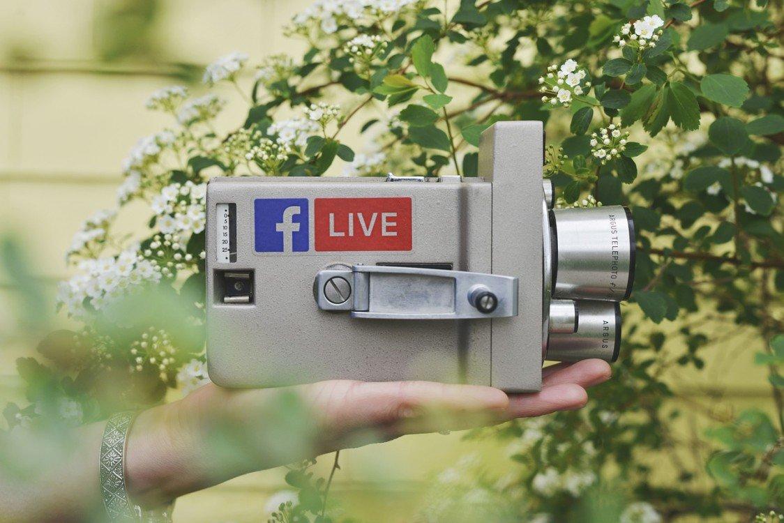 social media fiducia