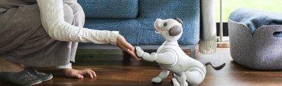 VIDEO Intelligenza Artificiale: Aibo, il cane robot di Sony