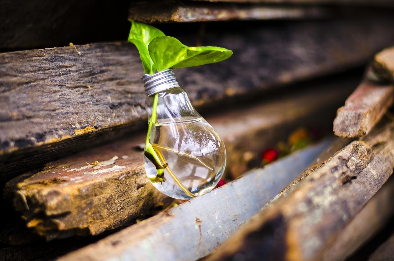 upcyclyng, recycling