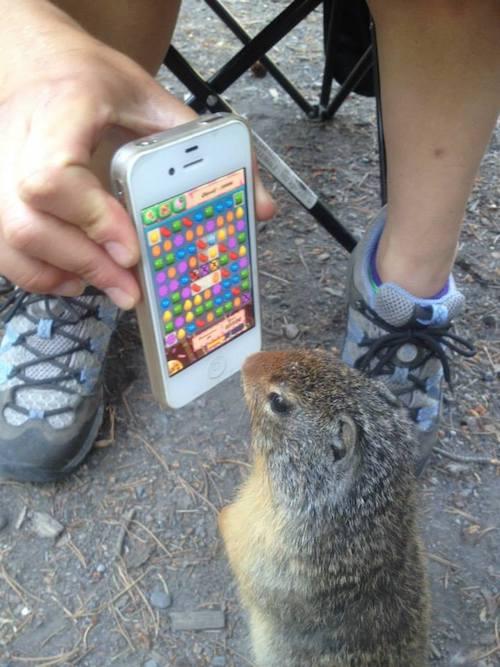 mobile-gaming-candy-crush