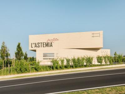 Da una “astemia pentita” nasce un progetto a metà strada tra design ed enogastronomia