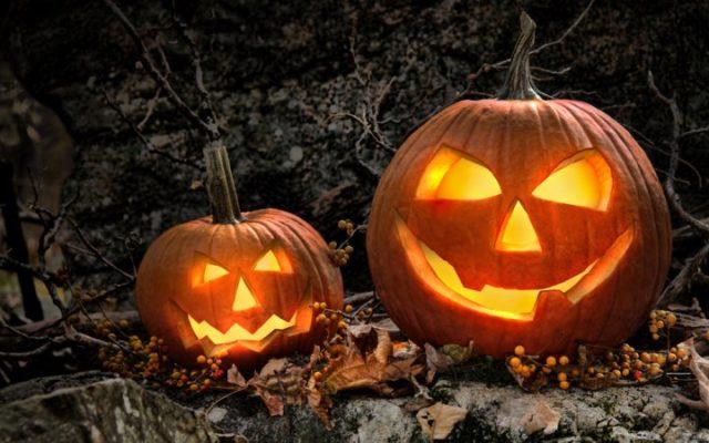 zucca