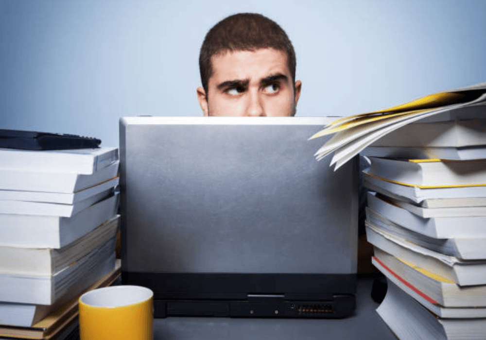 Social Media manager
