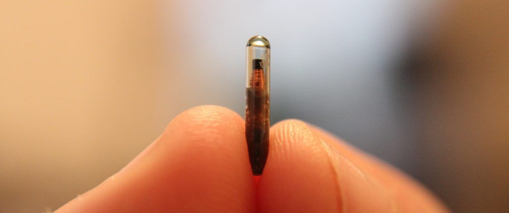 Chip Rfid