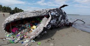 Pantene, Dove e gli altri big brand che vogliono combattere l’inquinamento da plastica