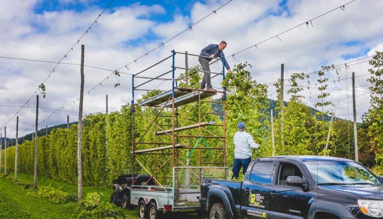 Come il marketing sta dando un boost al mercato della birra artigianale italiana