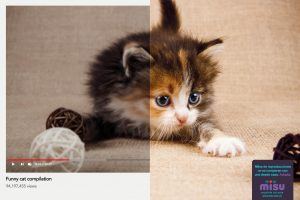 Fiat 500, Retocare e Misu: i migliori annunci stampa della settimana