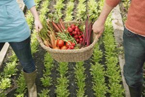 eCommerce e Food: in atto un cambiamento radicale delle nostre abitudini