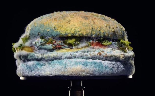 Ecco perché Burger King pubblicizza un Whopper ammuffito