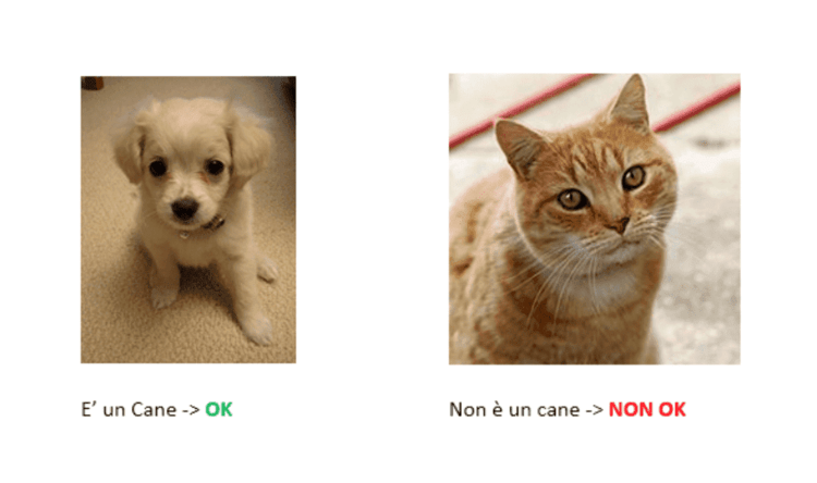 machine learning