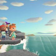 animal crossing new horizon