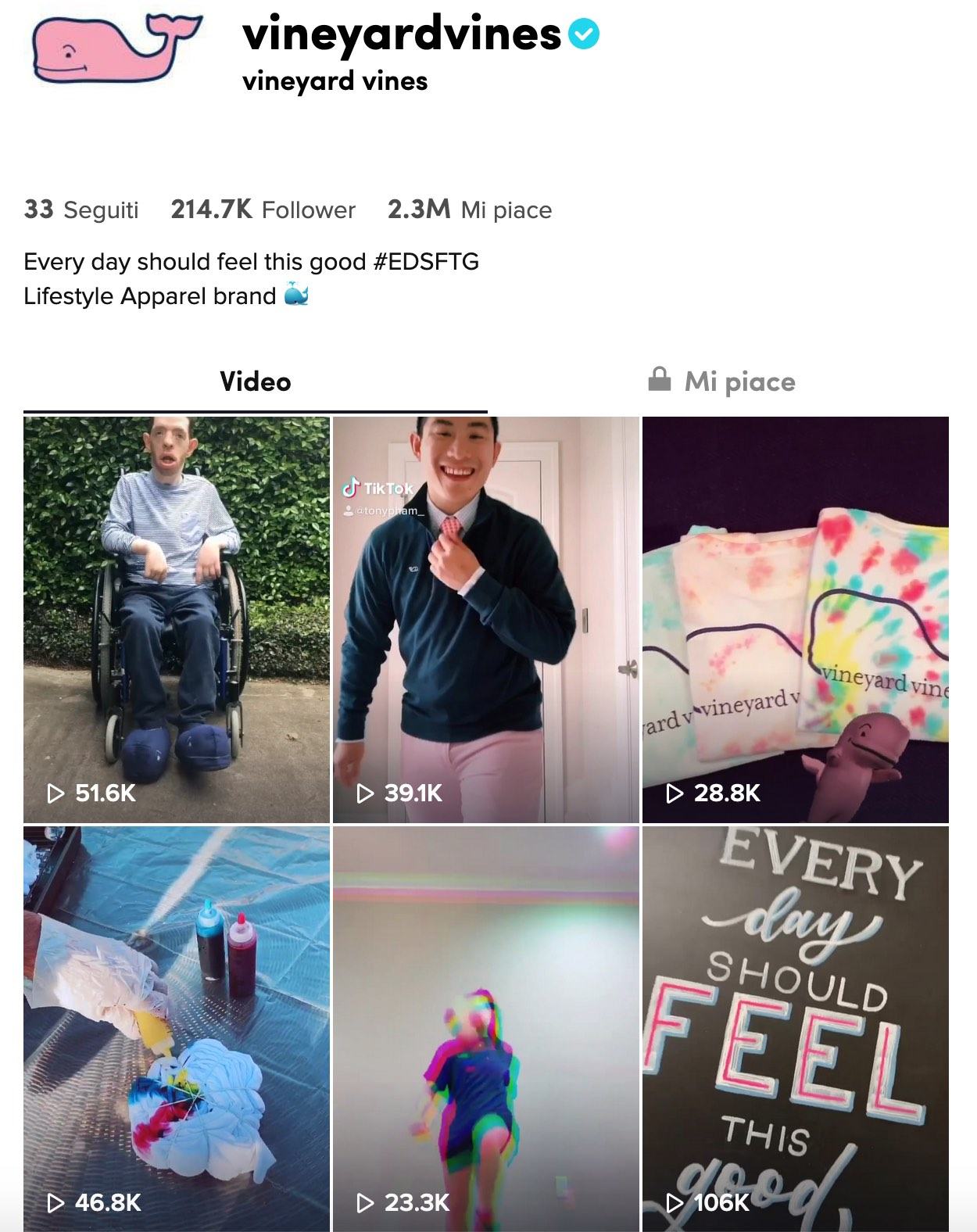 Vineyard Vines TikTok