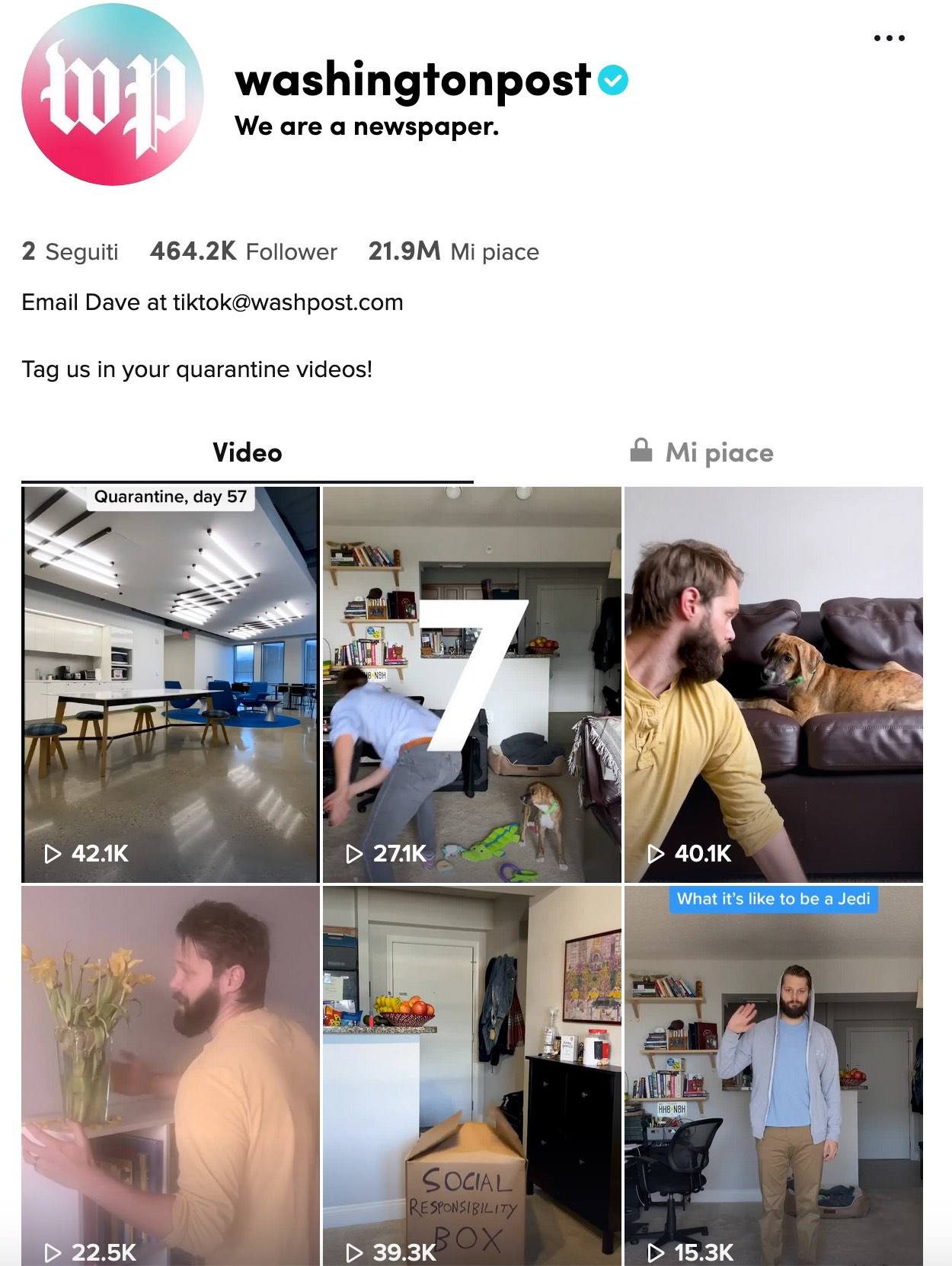 wallstreet tiktok