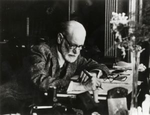 Un inedito Freud, dalla serie Netflix al nipote spin doctor