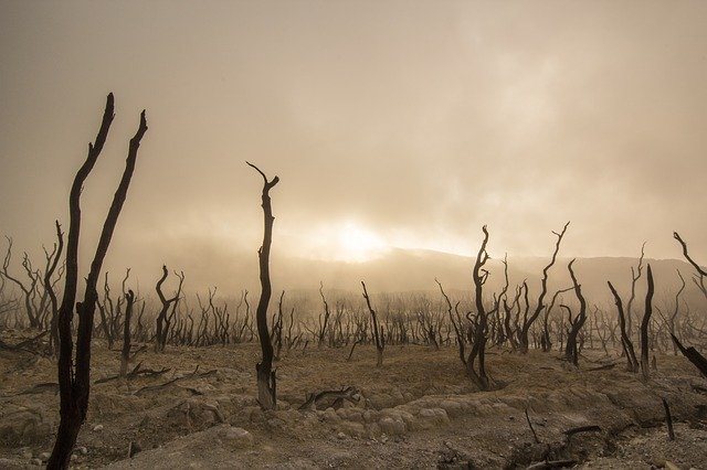 cambiamento climatico negativo