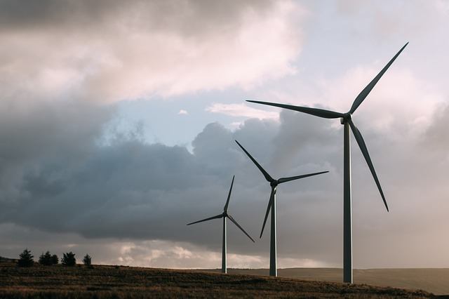 Giornata mondiale dell'ambiente 2020