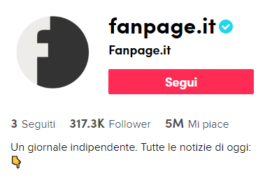 testate giornalistiche tiktok