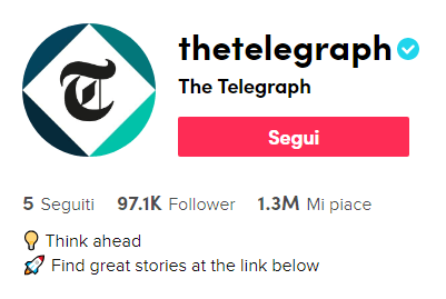 testate giornalistiche tiktok