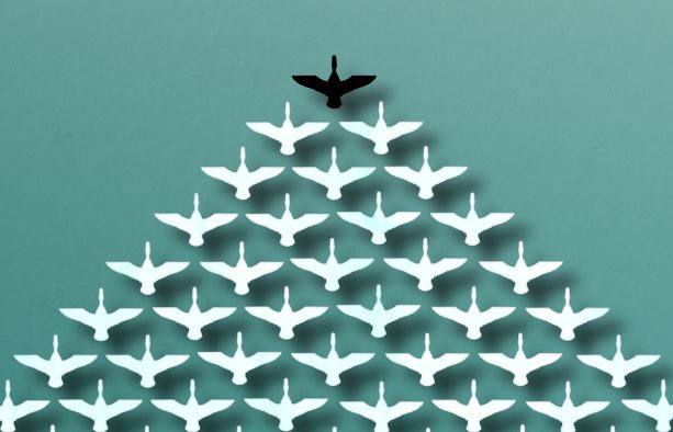 leadership fiducia