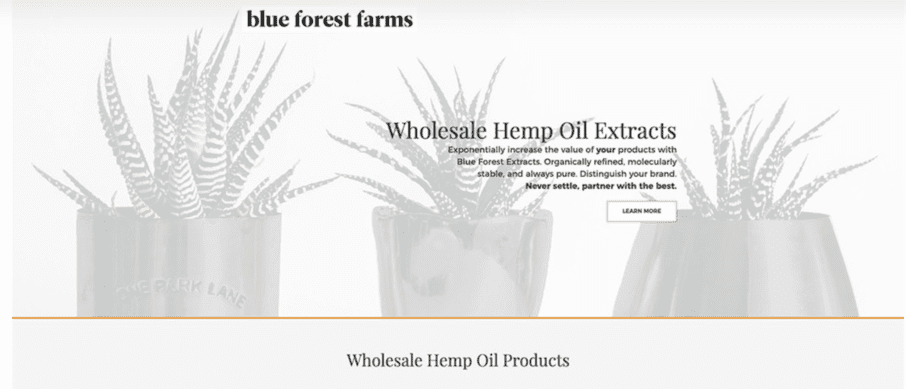 Landing Page Blue Forest Farm