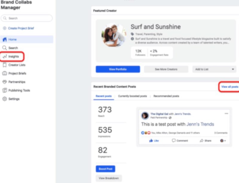 Brand Content Manager Insights