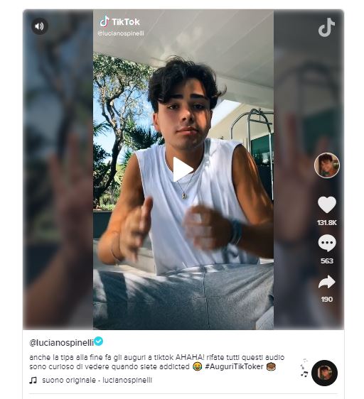 tiktok fondo creator