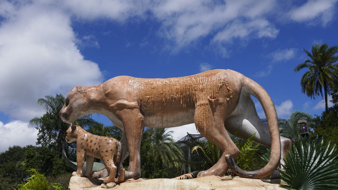 artisti per il cambiamento climatico, zoo tampa