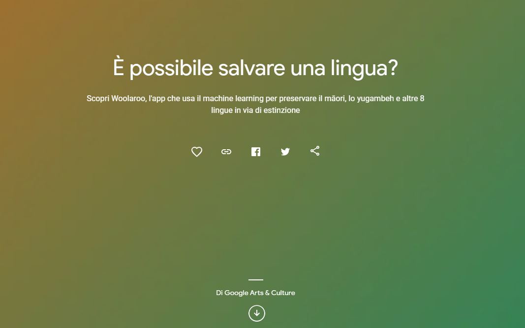 wolaroo tool digitale