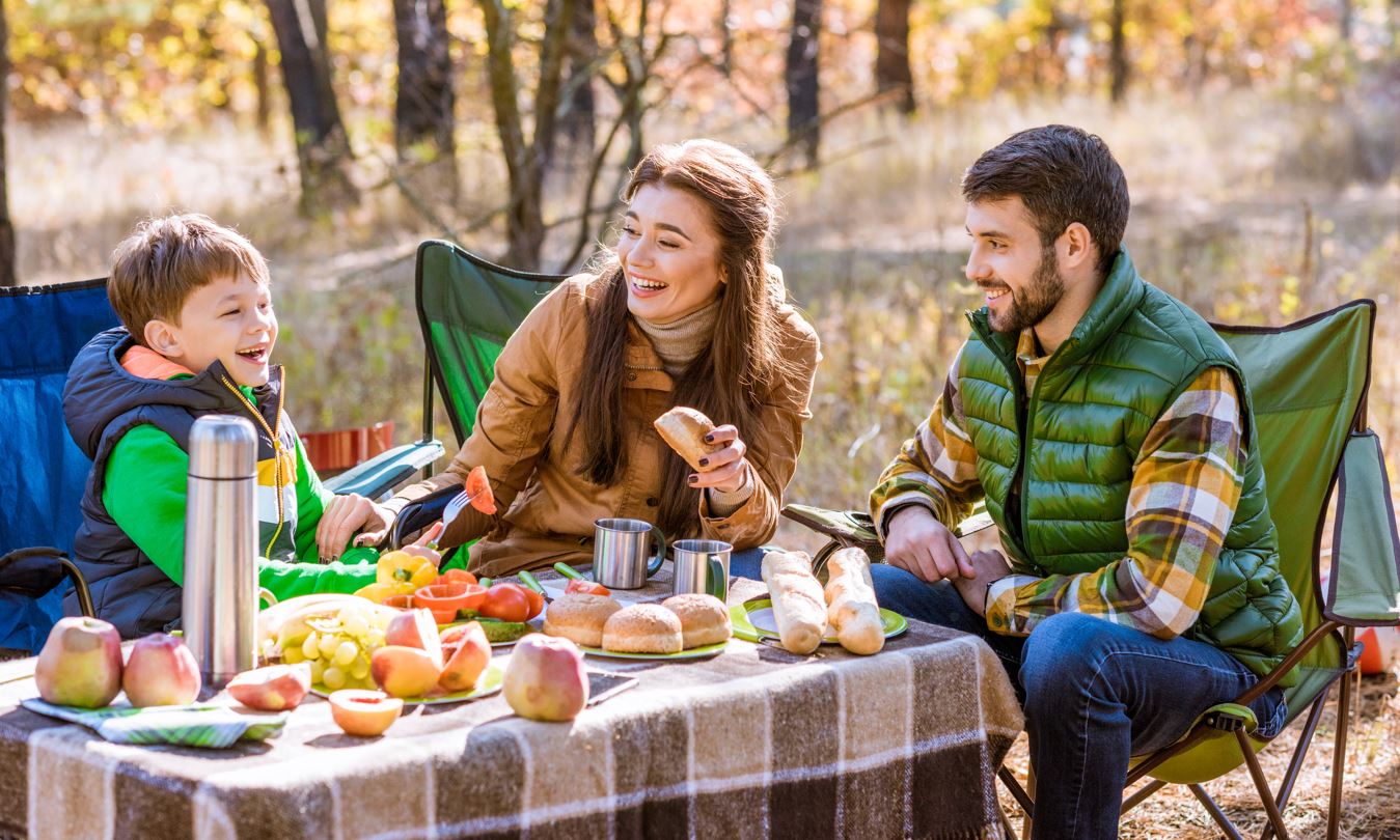 picnic digital tool