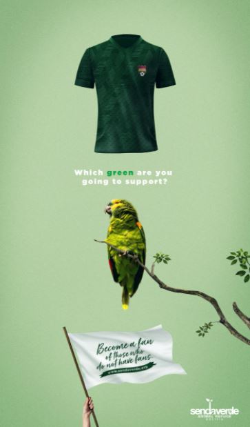 senda verde
