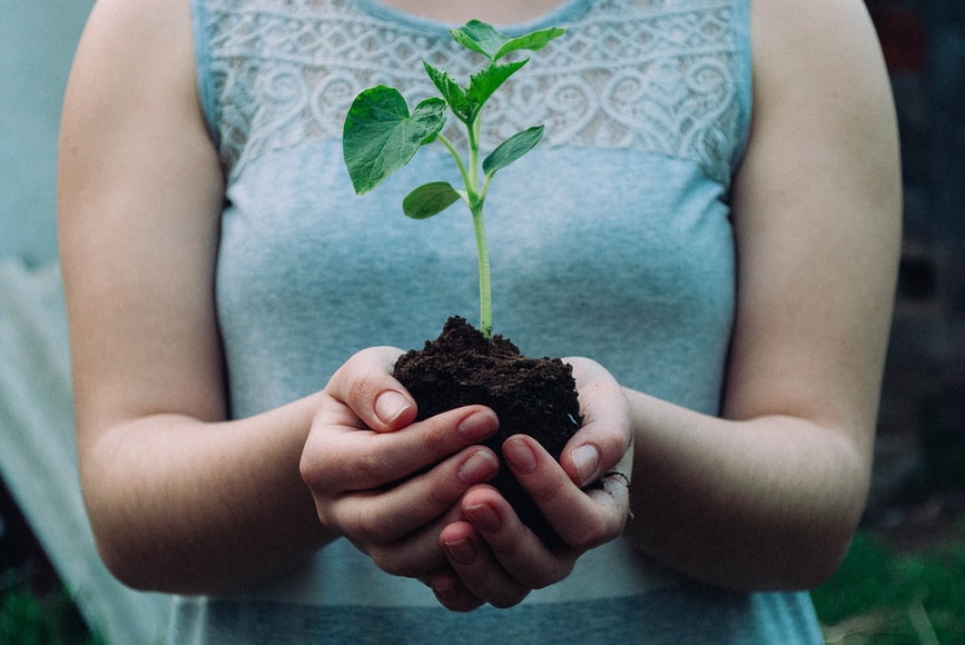 economia sostenibile - ambiente