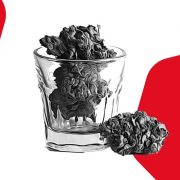 canapa alimentare