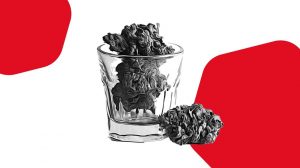 Canapa alimentare: il mercato italiano continua a crescere