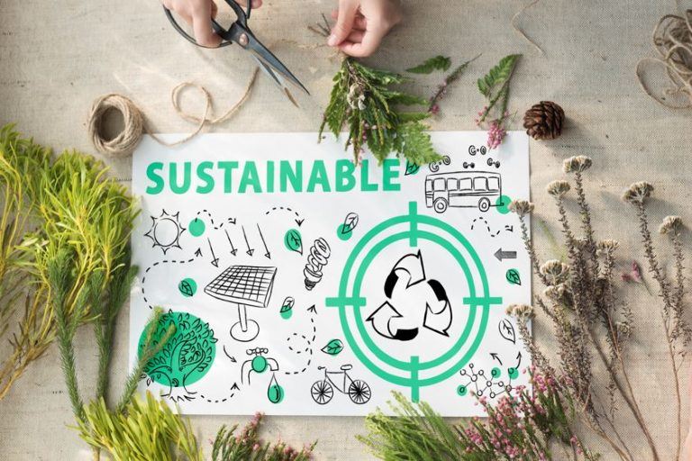 Logistica per eCommerce: come rendere il tuo magazzino più sostenibile Logistica per eCommerce: come rendere il tuo magazzino più sostenibile