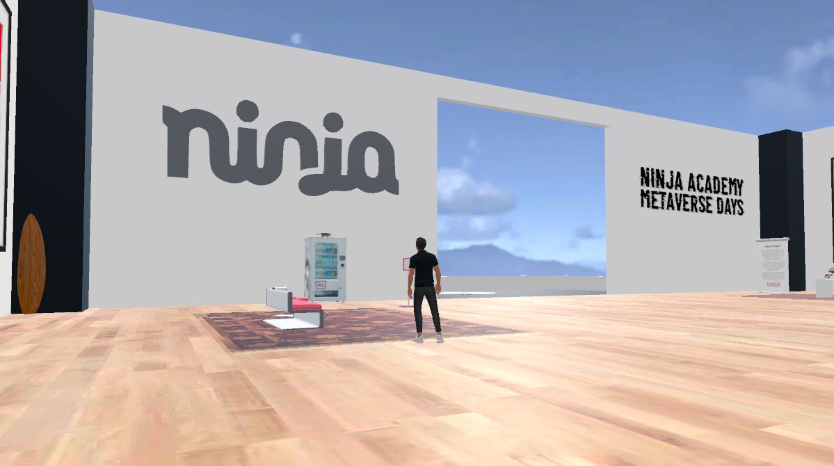 ninja metaverse day