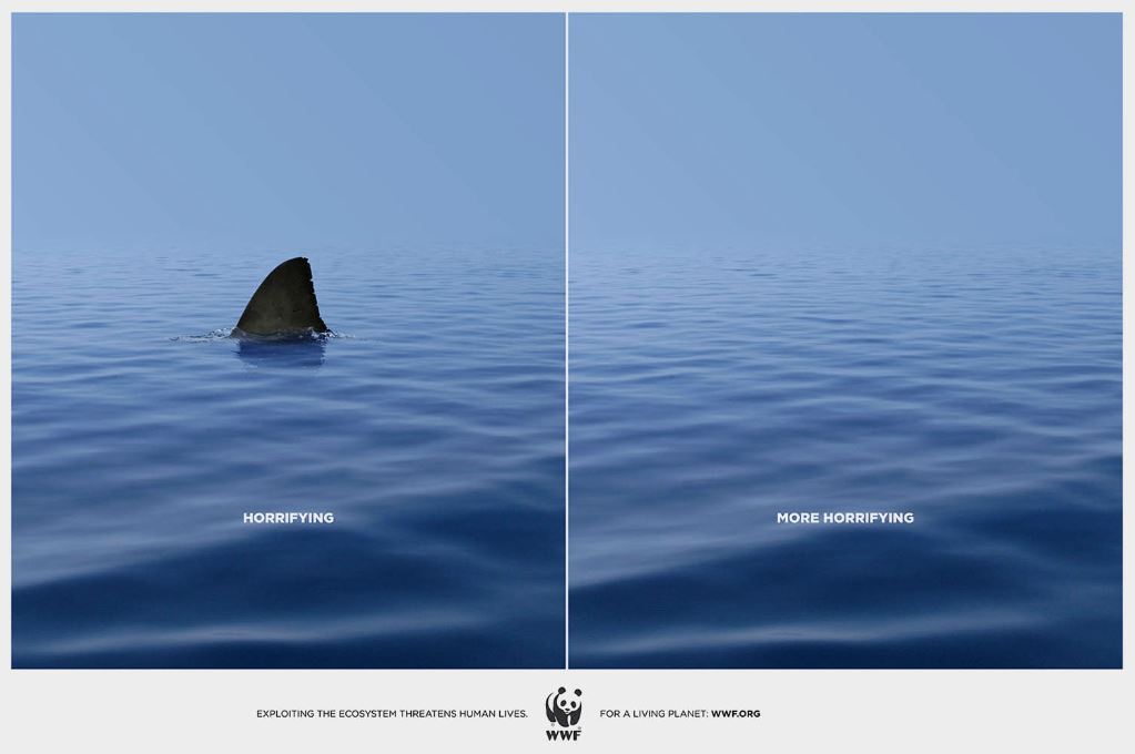 campagna wwf squalo campagne geniali