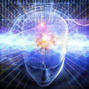 Manifesto AI: l'intelligenza artificiale non ci sostituirà