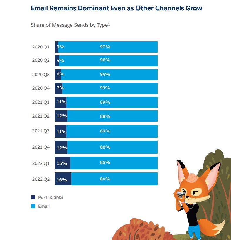 salseforce email sms - cookie di terze parti