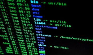 TikTok, lobbying e spionaggio: forse non è solo un film
