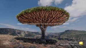 La nuova campagna di Nikon sfida l’intelligenza artificiale