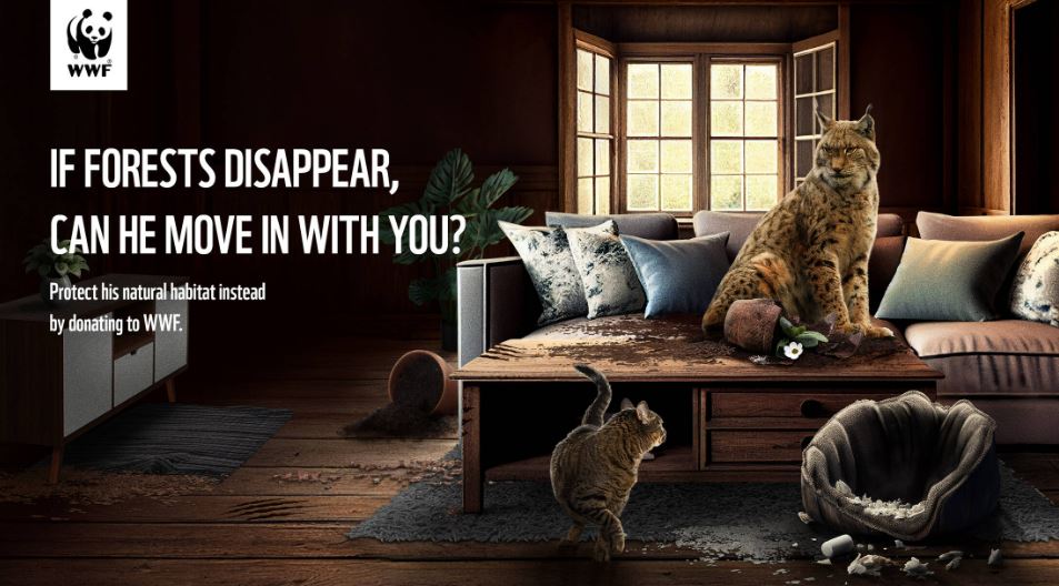 nuova campagna di wwf - roomies from the wild 02