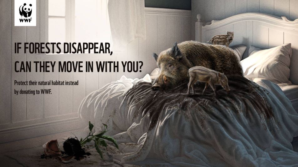 nuova campagna di wwf - roomies from the wild 03